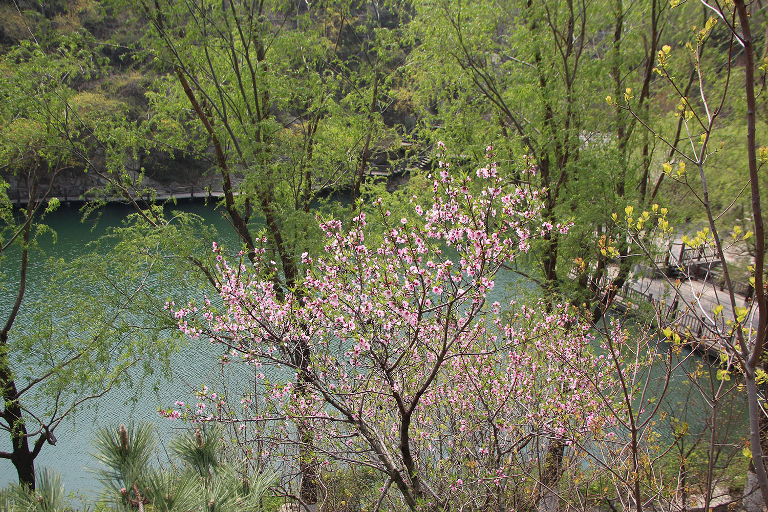 2021，濟(jì)南辰達(dá)試驗機(jī)制造有限公司九如山一日游！